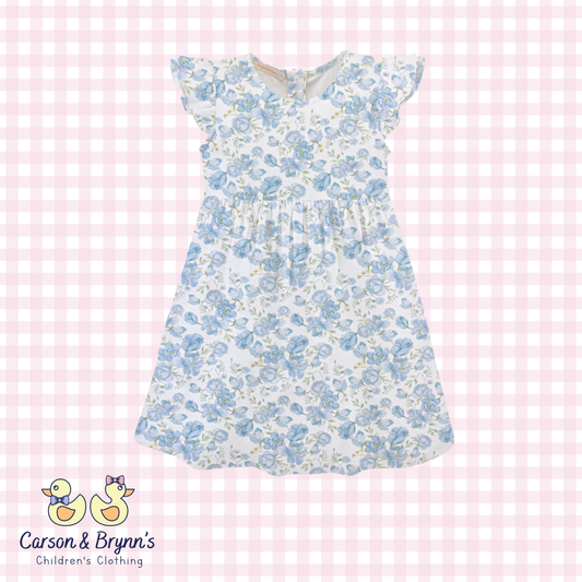 Baby Club Chic Spring in Blue Printed Dress