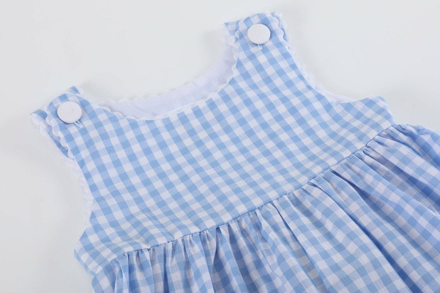 Lil Cactus - Blue Gingham Goose A Line Dress