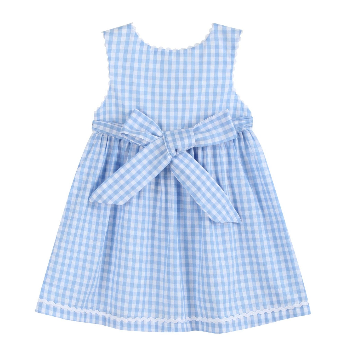 Lil Cactus - Blue Gingham Goose A Line Dress